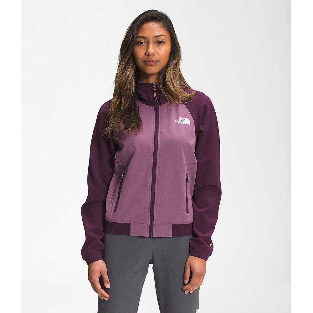 The North Face Tekware® Fleece Γυναικεια Φούτερ Hoodie - Μωβ / Μαυρα (LEXR54807)